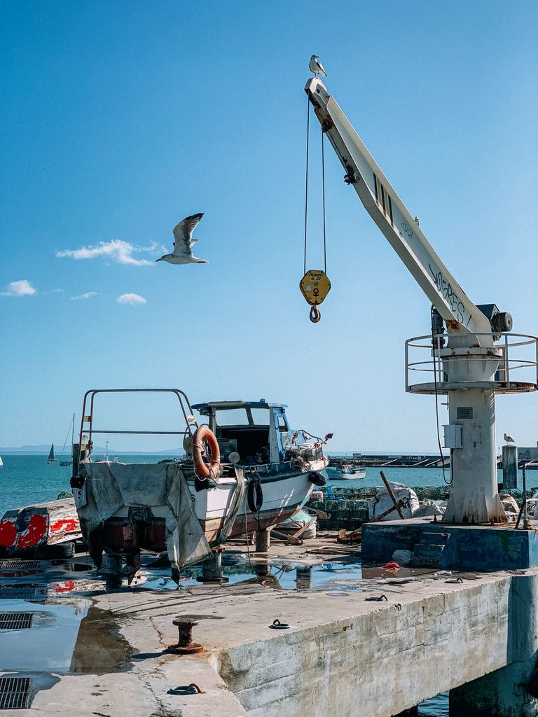 Port littered with old boats